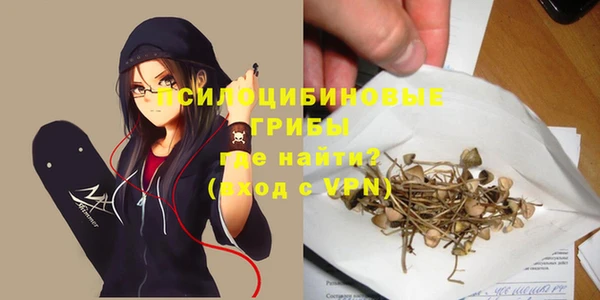 экстази Корсаков